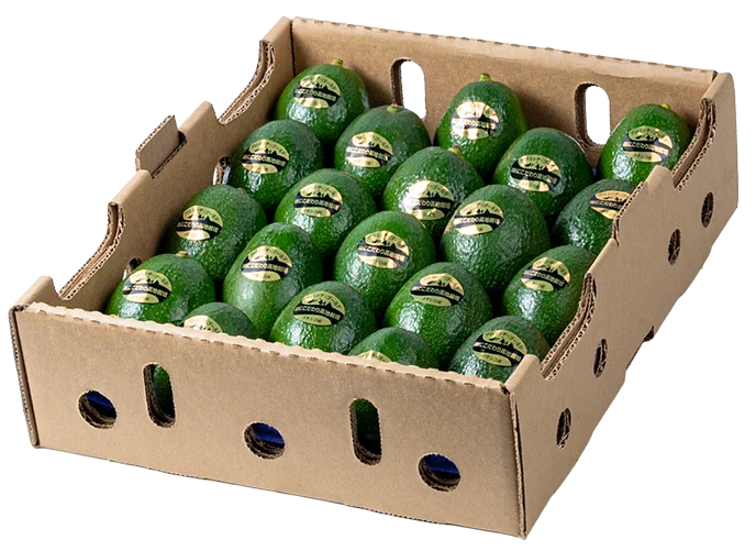 Caja de aguacates certificados