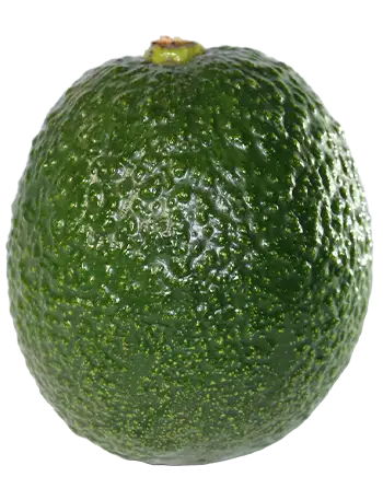 Aguacate Loca/Mendez