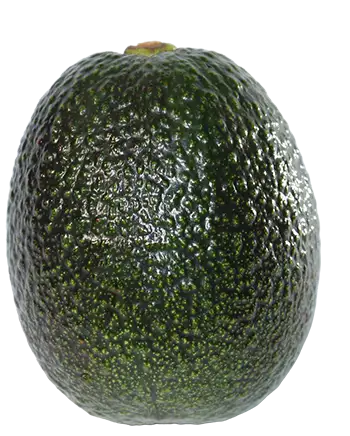 Aguacate Negro