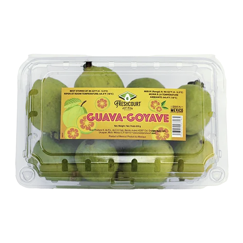 Container de guayabas Freshcourt